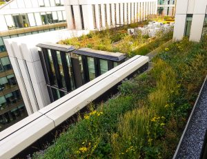 London Wall Place – Europlanters