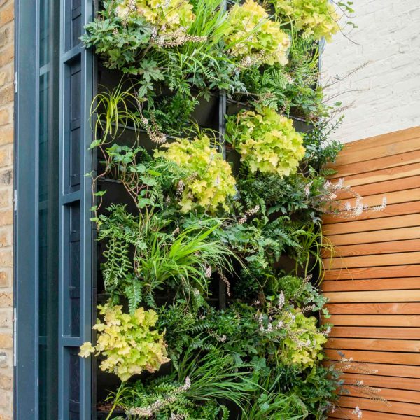 PlantBox – Europlanters