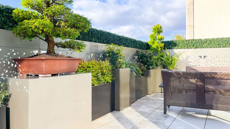 Projects – Europlanters